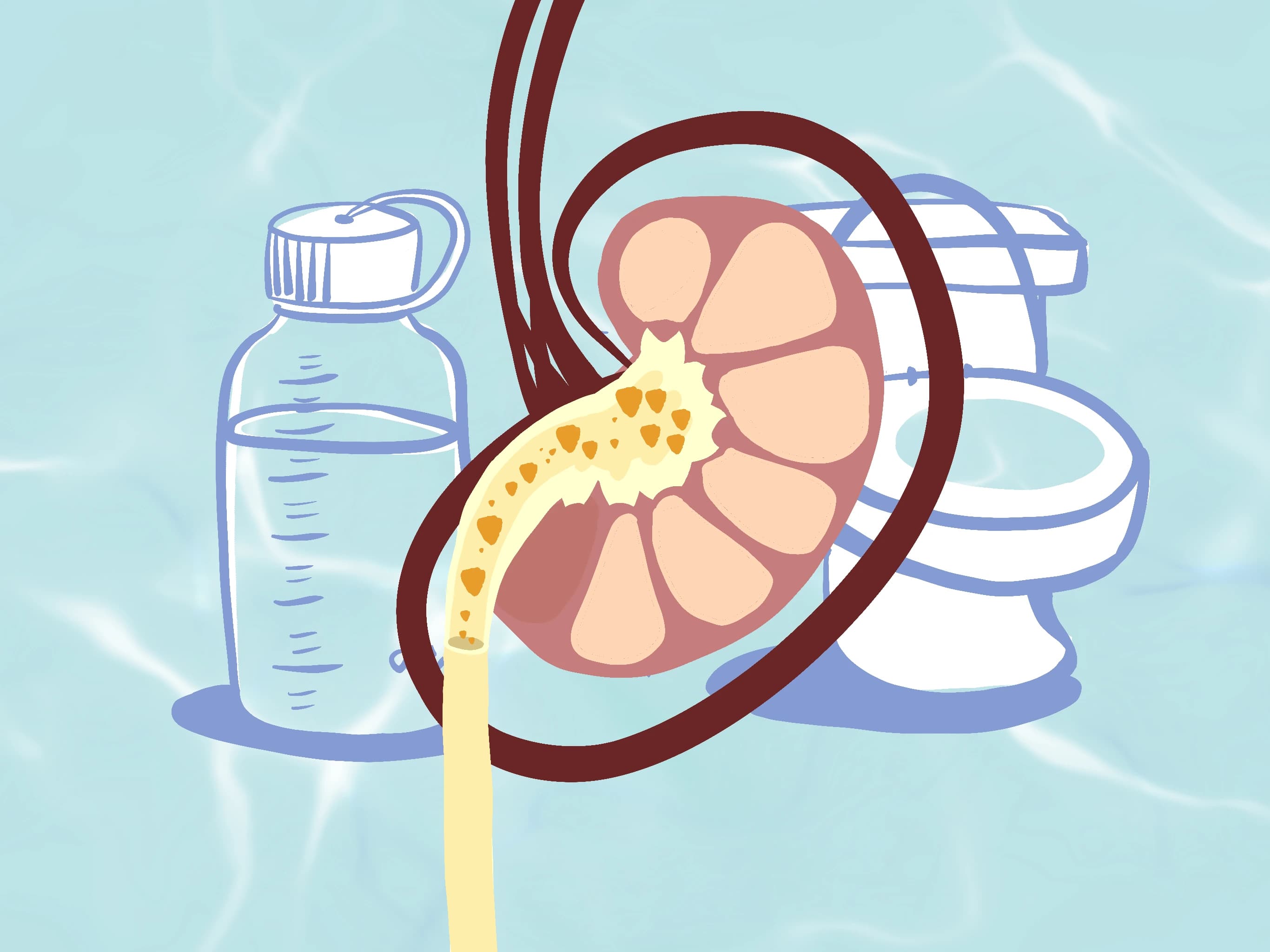 Do You Drink Enough Water?