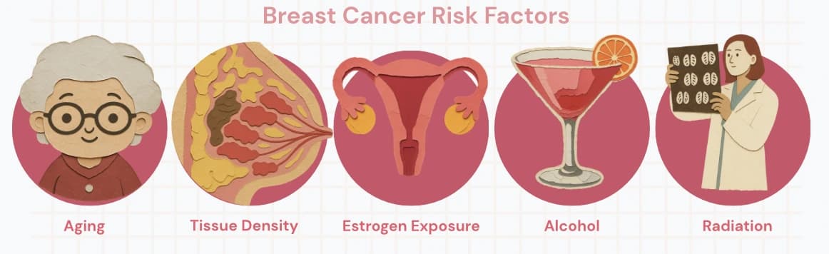 Breast cancer risk factors: aging, tissue density, estrogen exposure, alcohol, and radiation