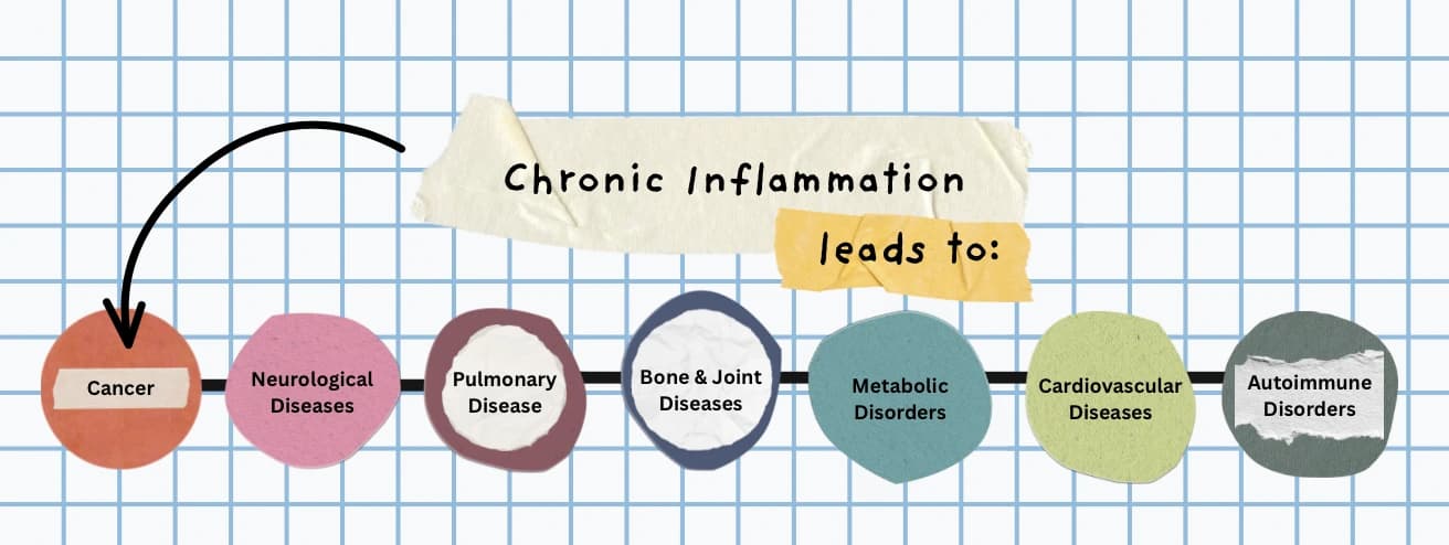 Chronic inflammation leads to cancer, neurological diseases, pulmonary disease, bone and joint diseases, metabolic disorders, cardiovascular diseases, and autoimmune disorders